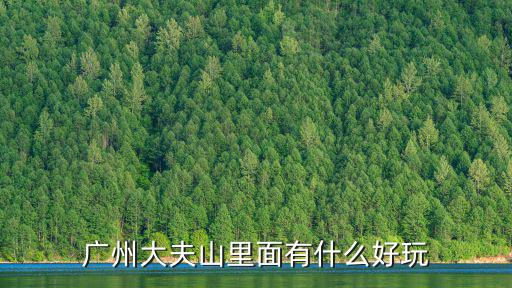 廣州大夫山里面有什么好玩