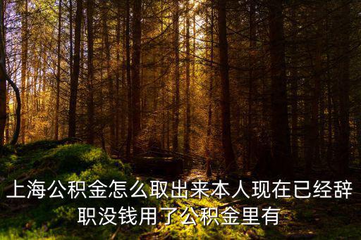 上海公積金怎么取出來本人現在已經辭職沒錢用了公積金里有