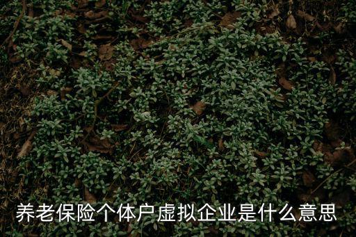 養老保險個體戶虛擬企業是什么意思