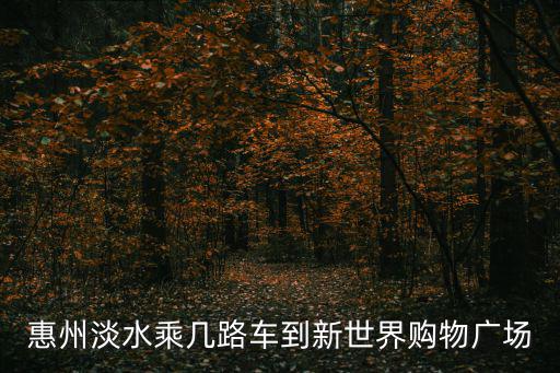 新世界購物廣場，惠州淡水乘幾路車到新世界購物廣場