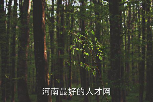 解放軍人才網(wǎng)，新鄉(xiāng)伯樂人才網(wǎng)是一家大型的人才招聘網(wǎng)站主要從事人才招聘獵頭