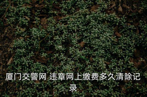 廈門交警網，請教外省罰單廈門交警網也有了記錄可以在網上繳交嗎 廈門的車在