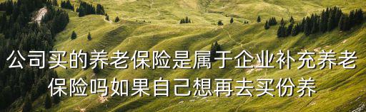 公司買的養老保險是屬于企業補充養老保險嗎如果自己想再去買份養