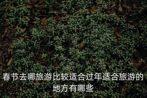 春節(jié)去哪旅游比較適合過(guò)年適合旅游的地方有哪些