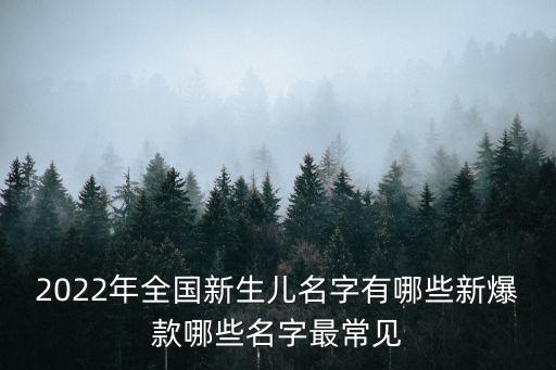 2022年全國新生兒名字有哪些新爆款哪些名字最常見