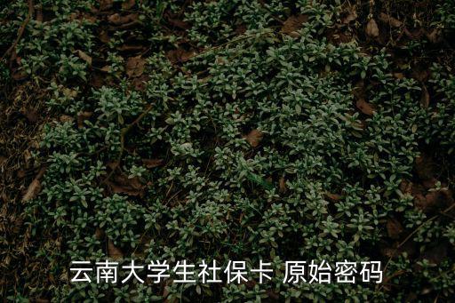 云南大學生社保卡 原始密碼