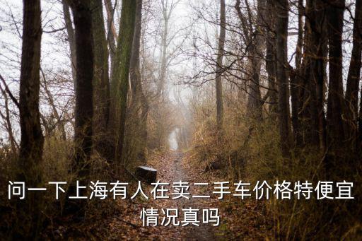 問一下上海有人在賣二手車價格特便宜情況真嗎