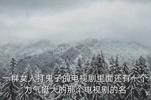 一群女人打鬼子的電視劇里面還有一個力氣挺大的那個電視劇的名