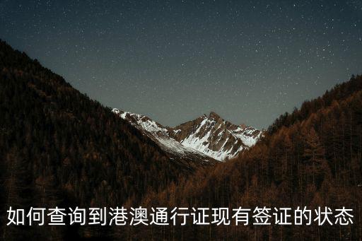 如何查詢到港澳通行證現有簽證的狀態