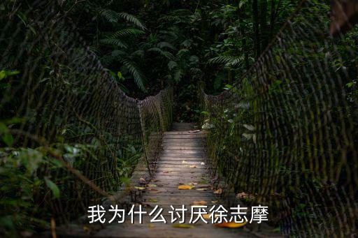 我為什么討厭徐志摩