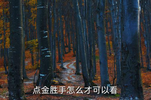 點金勝手怎么才可以看