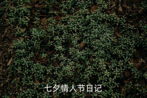 七夕情人節日記