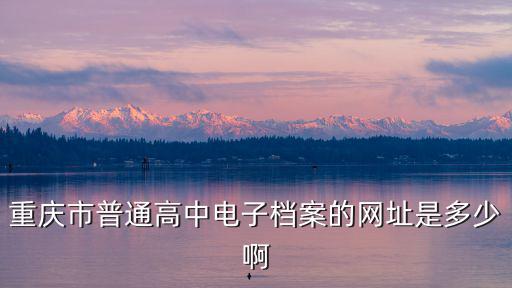 重慶市普通高中電子檔案的網(wǎng)址是多少啊