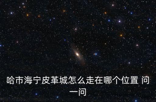 哈爾濱海寧皮革城，哈爾濱海寧皮革城在什么地方