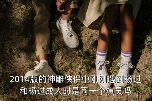2014版的神雕俠侶中剛剛遇到楊過和楊過成人時是同一個演員嗎
