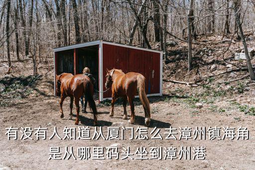 有沒有人知道從廈門怎么去漳州鎮海角是從哪里碼頭坐到漳州港