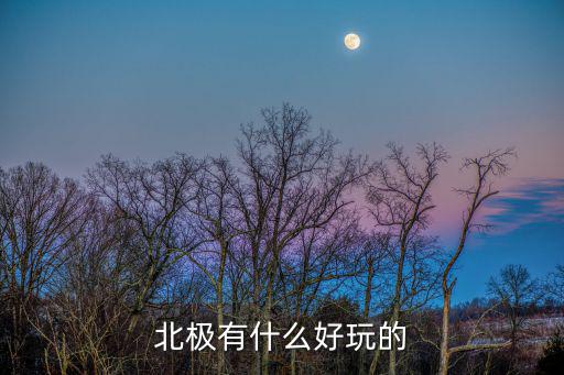 北極有什么好玩的