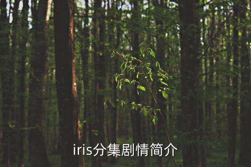 iris分集劇情簡(jiǎn)介