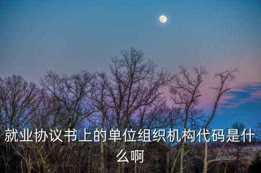 機構代碼，就業協議書上的單位組織機構代碼是什么啊