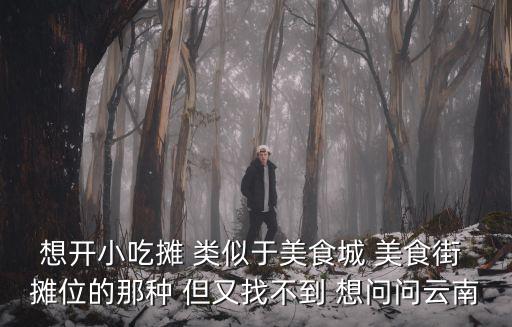 想開小吃攤 類似于美食城 美食街 攤位的那種 但又找不到 想問問云南