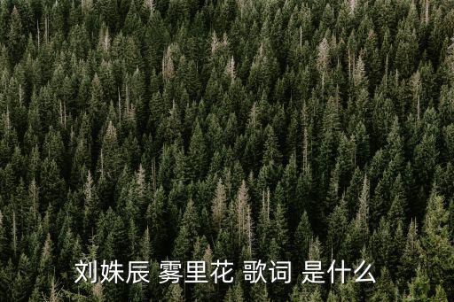 劉姝辰 霧里花 歌詞 是什么