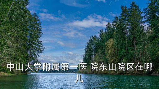 中山大學附屬第一醫 院東山院區在哪兒