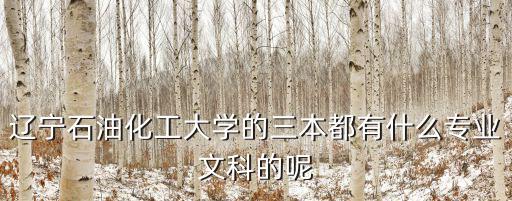 遼寧石油化工大學的三本都有什么專業文科的呢
