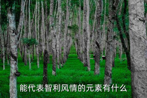 能代表智利風情的元素有什么