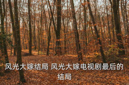 電視劇風(fēng)光大嫁，丈母娘非要50萬的電視劇是