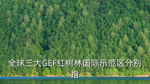 全球三大GEF紅樹林國際示范區分別指