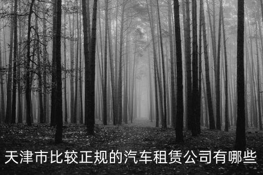 天津市比較正規的汽車租賃公司有哪些
