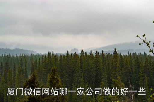 廈門微信網(wǎng)站哪一家公司做的好一些