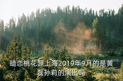 暗戀桃花源上海2019年9月的是黃磊孫莉的演出嗎