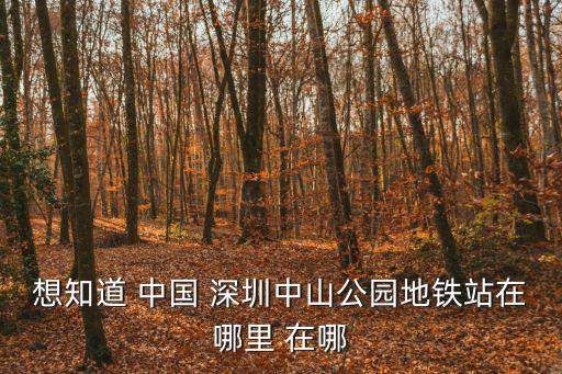 想知道 中國 深圳中山公園地鐵站在哪里 在哪