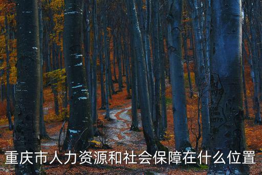 重慶人力資源社會保障，重慶市人力資源和社會保障局在什么地方