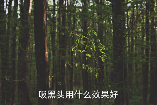 吸黑頭用什么效果好