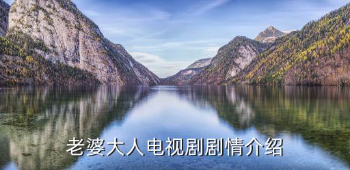 老婆大人電視劇，老婆大人電視劇劇情介紹