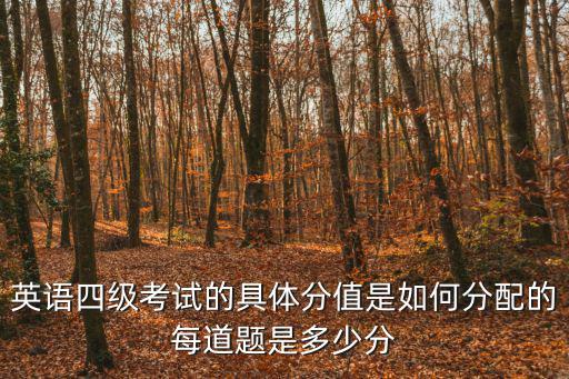 四級英語分數分配，英語四級考試的具體分值是如何分配的每道題是多少分