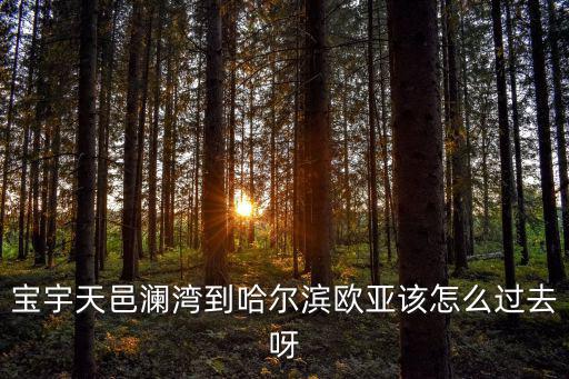 寶宇天邑瀾灣到哈爾濱歐亞該怎么過去呀