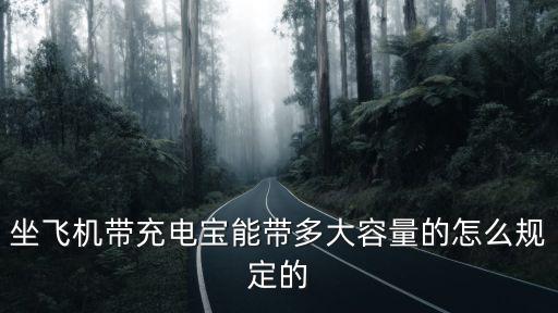 坐飛機帶充電寶能帶多大容量的怎么規定的