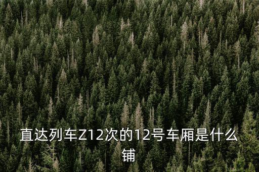 直達列車Z12次的12號車廂是什么鋪