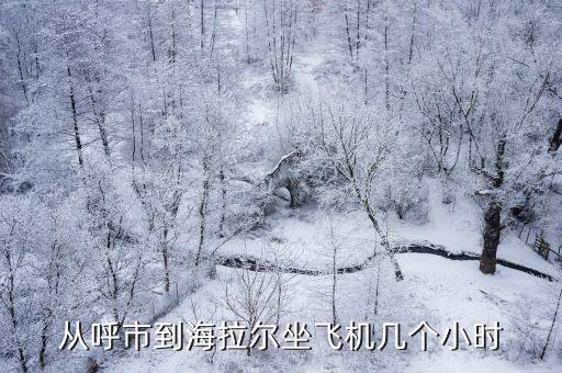 呼和浩特到海拉爾，從呼市到海拉爾坐飛機(jī)幾個(gè)小時(shí)