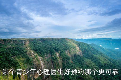 哪個青少年心理醫生好預約哪個更可靠