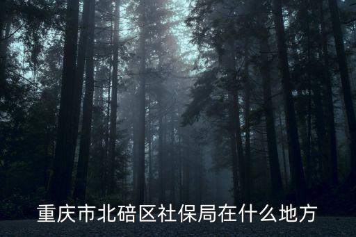 重慶市北碚區社保局在什么地方