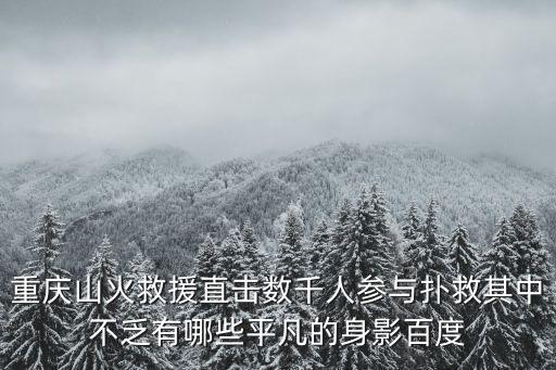 重慶山火救援直擊數千人參與撲救其中不乏有哪些平凡的身影百度