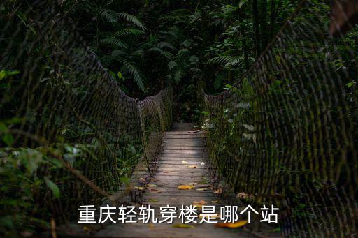 重慶穿樓輕軌，重慶穿樓輕軌是先有橋還是先有樓