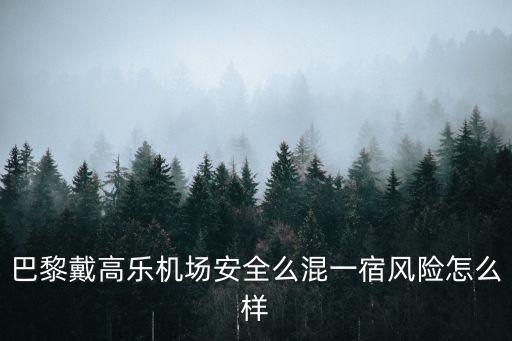 巴黎戴高樂機場安全么混一宿風險怎么樣