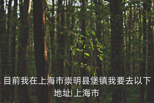 目前我在上海市崇明縣堡鎮我要去以下地址 上海市