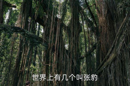 張豹，世界上有幾個叫張豹