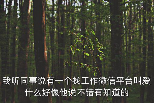 我聽同事說有一個找工作微信平臺叫愛什么好像他說不錯有知道的